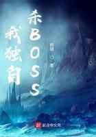 我独自杀BOSS